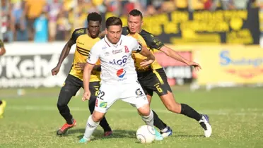 Elefantes y gallos se enfrentarán este sábado pero con una leve modificación en el horario del juego