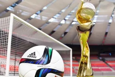 En un comunicado conjunto informaron sobre el lanzamiento oficial de esta candidatura conjunta, que surge después de meses de preparación