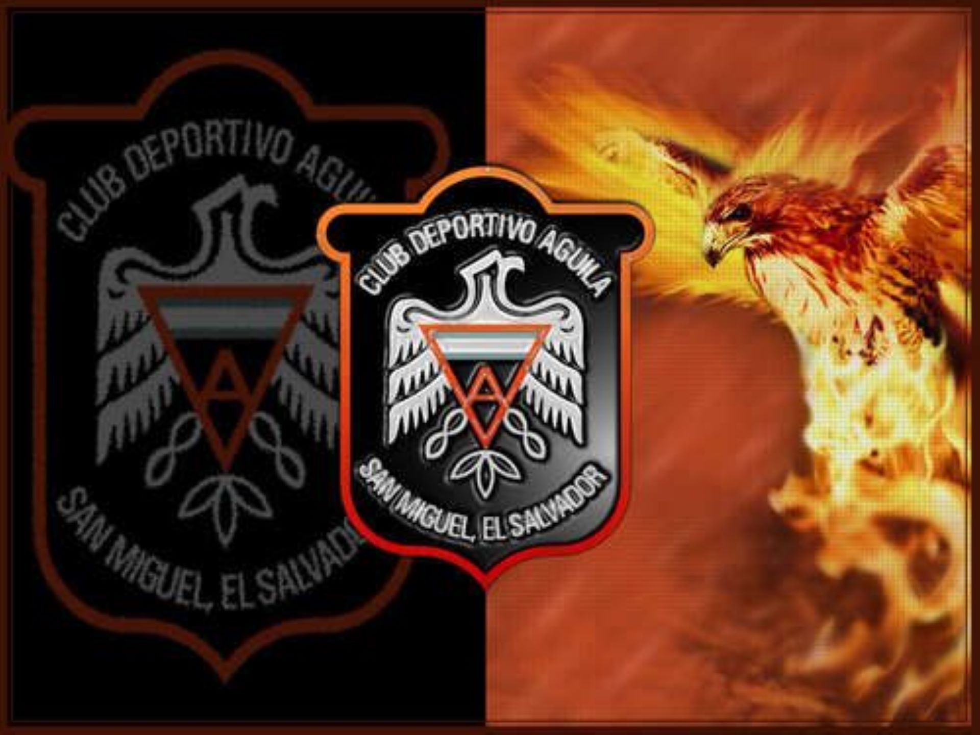 La Primera División compartió quiénes fueron los galardonados del Clausura 2023. El equipo migueleño se lleva tres de seis premios.