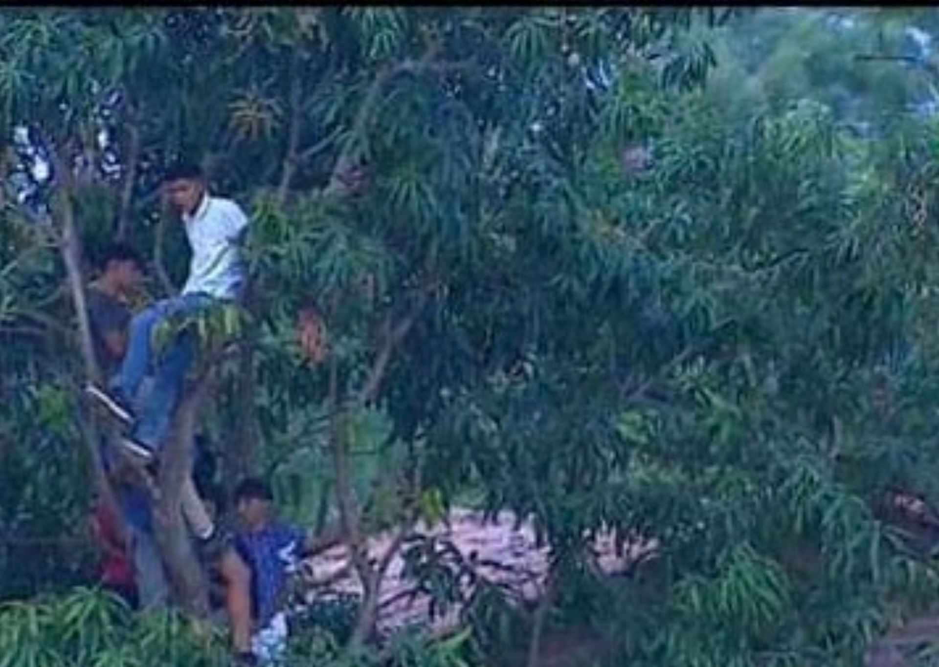 Los jóvenes buscaron un lugar poco convencional para poder apreciar el partido entre el Jocoro y Águila.