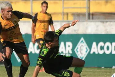 Periquitos y gallos se cruzan hoy en el duelo clave por la permanencia en Liga Mayor