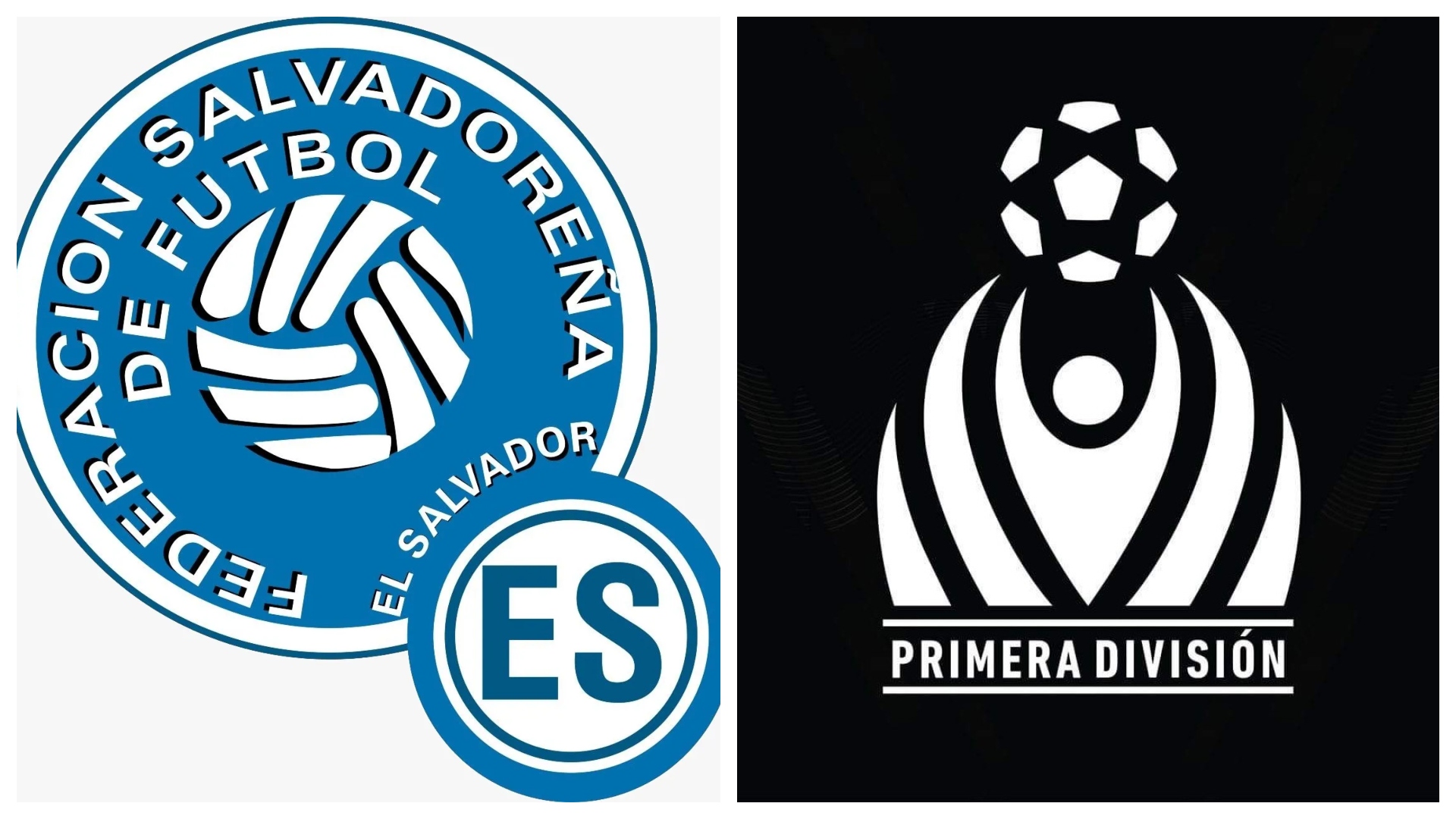 Se dio por finalizado el Torneo Clausura 2023 sin dejar un campeón